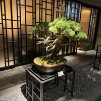 まとい 銀座 - 