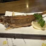 民謡居酒屋 かなさんどー - 