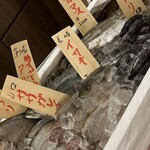 米と魚 さかなさま 日本橋茅場町店 - 