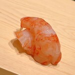 鮨 めい乃 - 極太のボタン海老。五、六年もののようです。増毛と問うと、聞き取れなかったのですが、その上の港らしい。ということは、留萌、苫前、羽幌、まさかの遠別？