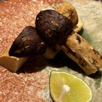 つるとかめ - こんがりこ♪