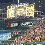 阪神甲子園球場 - 