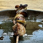 かぶと - 天然のヒレ