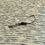 かぶと - 天然うなぎから針が出てきました