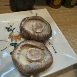 ヤキトリサクラ - 