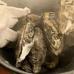 ごぼうのてっぺん - 