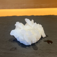 SUSHI TOKYO TEN、 横浜店 - 