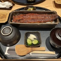 うなぎ四代目菊川 ミッドランドスクエア 名古屋本店 - 