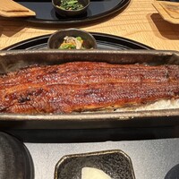 うなぎ四代目菊川 ミッドランドスクエア 名古屋本店 - 