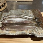 天ぷら浅沼 - 本シシャモ(　ﾟдﾟ)