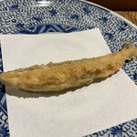 天ぷら浅沼 - 本シシャモ