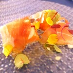 Le Coin Discret - サーモンミキュイの生ハム巻き