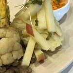 Lamp - カリフラワー・ポテサラ