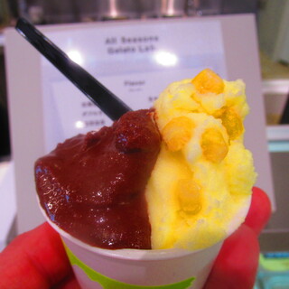 All Seasons Gelato Lab._2