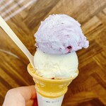 ノレグレット - 