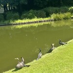 季美の森ゴルフ倶楽部 - 鳥‍⬛