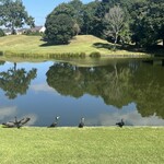 季美の森ゴルフ倶楽部 - 鳥