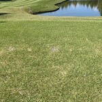 季美の森ゴルフ倶楽部 - 晴天