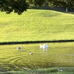 季美の森ゴルフ倶楽部 - 鳥