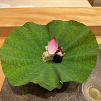 小熊 - 