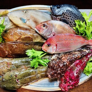 産地直送の食材～三重県答志島より神経締めのお魚