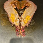 マラルンガ鉄板焼 - 