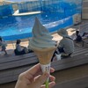 新江ノ島水族館 メインショップ