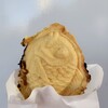 奈良たいやき 囲