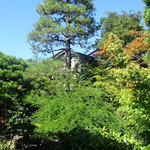 御料理ふじ居 - 日本庭園