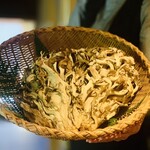 267786421 - 舞茸お披露目：半分にカットされとりますなぁ〜残念