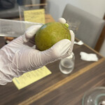 IL PLANETARIO - 生ベルガモット