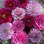 カフェ ラベイユ - 