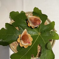 デルフィーナ - 