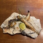 日本料理 丸しま - 本ししゃも