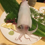 海幸 空港店 - ヤリイカ姿造り