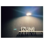 鉄板焼きお好み焼き いずみ - 