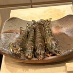 鮨桂太 - 車海老ジャンボサイズです。