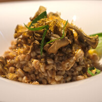 ラ・セヌ - ランチセット 1900円 のスペルト小麦のリゾット 秋鮭 茸 九条ネギ ミモレット