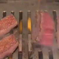USHIGORO S. GINZA - 