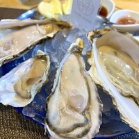 四ツ橋・新町 牡蠣と肉たらしビストロAKIRA - 