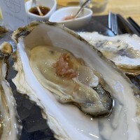 四ツ橋・新町 牡蠣と肉たらしビストロAKIRA - 
