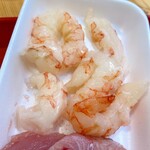 魚菜小売市場 - 地物赤エビ（250円！）