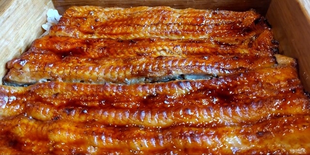 うなぎさま確認ページ♡ うなぎ一番