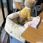 ラ・テラッツァ 芦ノ湖 - 台をお借りしてその上にドライブベットを置きました