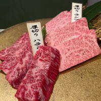 PONGA PREMIUM - 