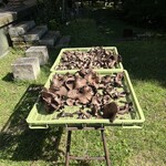 クチーナ ハセガワ - 