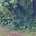 宗像堂 - もーーーーーーー！もーーーーー‼️もーーーーーーーー‼️‼️夢のブランコ