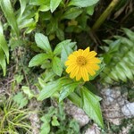 宗像堂 - お花がお出迎え