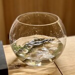 橦木町 しみず - 