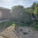 おしゃべりきのこ - 